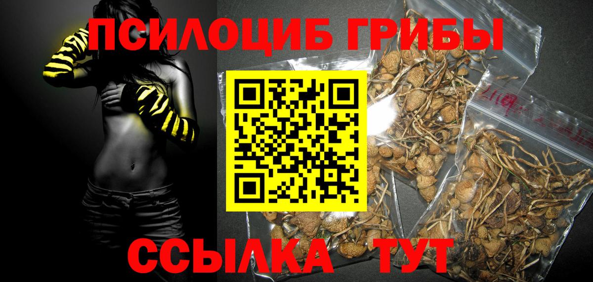 Галлюциногенные грибы Cubensis  Вход с VPN  Кирово-Чепецк  Псилоцибиновые грибы Magic Shrooms 